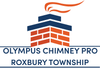 Olympus Chimney Pro